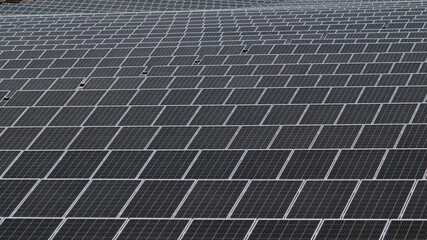 A wide view of a large array of solar panels aligned to capture sunlight, representing renewable energy and sustainability in modern technology.