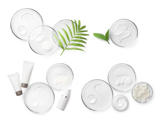 Sticker - Petri dishes with cosmetic products and plant isolated on white, top view. Set