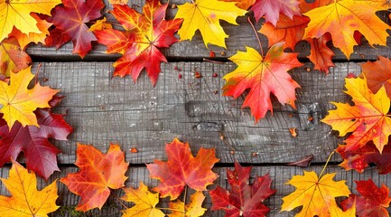 Poster - autumn leaves on a wooden background