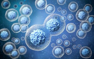 Wall Mural - 3d rendering of human cell or embryonic stem cell microscope background.