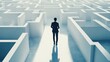 © Mnt - A businessperson navigating a labyrinth, symbolizing challenges, decision-making, and the search for clarity in a complex world.