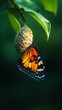© arhendrix - A vibrant orange butterfly emerging from its cocoon, symbolizing transformation and new beginnings in a natural green environment.