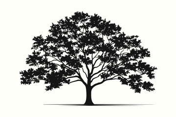 Wall Mural - Elm tree silhouette vector illustration