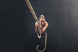 © Hira/peopleimages.com - Woman, bodybuilder and climb rope for fitness at gym for bodybuilding with strength and determination. Female person, muscles and strong on training, workout and exercise for health and above
