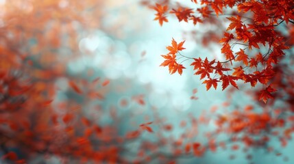 Poster - Vibrant red maple leaves dance gently in the crisp autumn air, illuminated by soft light filtering through the trees