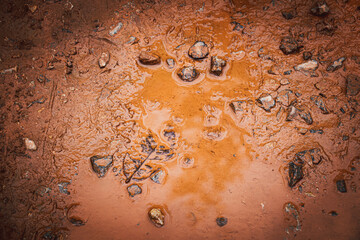 Wall Mural - A muddy, dirty ground with a few rocks and a few drops of water