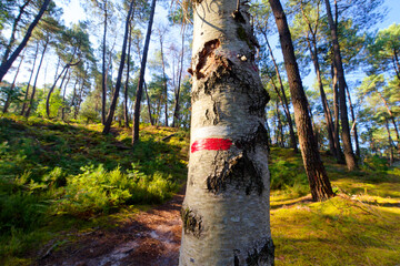 Sticker - White and red double stripes mark, GR11 long-distance hiking trail in Fontainebleau forest