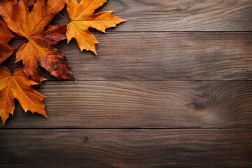 Wall Mural - Autumn wood leaf leaves.