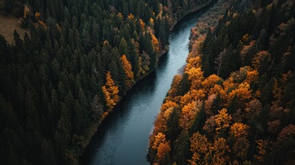 trees line the banks in the foreground, their branches adorned with autumn's golden leaves backgroun