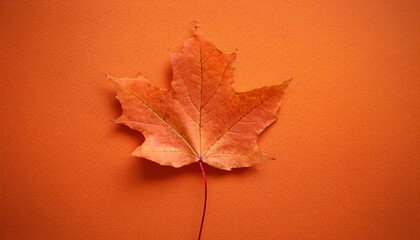 Aufkleber - Vibrant Autumn Maple Leaf on Solid Orange Background, Capturing the Warmth of Fall with Striking Contrast and Minimalist Design. Banner Poster Background Wallpaper With Copy Space