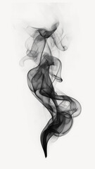 Canvas Print - Soft smoke raising black white black background.