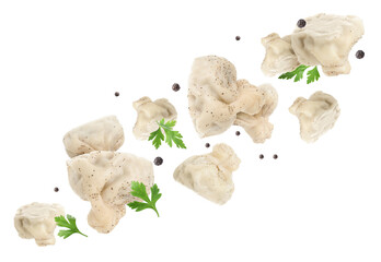 Wall Mural - Delicious khinkali (Georgian dumplings), peppercorns and parsley flying on white background