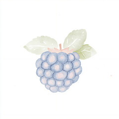 Wall Mural - Watercolor Blackberry.