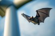 © Nico - Bat in Flight Against a Blue Sky with a Wind Turbine in the Foreground