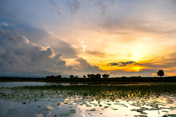 Wall Mural - outdoor sunset.twilight beauty evening colorful clouds - sunlight with dramatic sky.sunlight with dr
