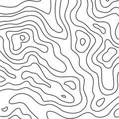 Wall Mural - abstract topographic map background with organic flowing lines vector