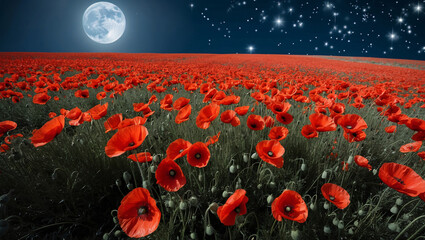 Wall Mural - A field of poppies at night.