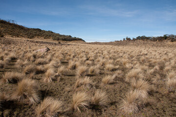 desert landscape in state