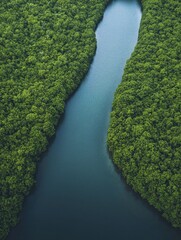 Poster - Exploring the Coastal Wonders Where Nature's Erosion Meets Human Intervention