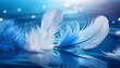 © Jean - Bird blue nature feather white soft fluffy water purity light background
