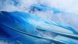 © Jean - Bird blue nature feather white soft fluffy water purity light background