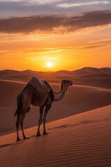 A camel is standing in the desert at sunset. The sky is orange and the sun is setting