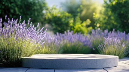 Wall Mural - Close-up of a minimalist round podium with delicate lavender and ornamental grasses, perfect for a natural, calming display.