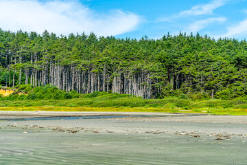 Wall Mural - Moclips Treeline Landscape 2