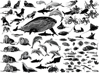 Poster - marine animals and fishes outlines large set isolated on white