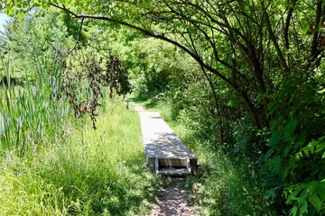 The wooden boardwalk on the trail in the countryside.