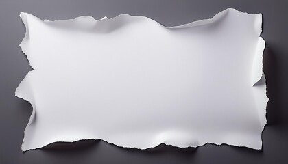 A white sheet of paper with torn edges, blank on all sides, on a clean background.