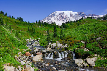 Edith Creek flowing across green summer meadow in front of Mount Rainier