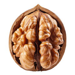 Wall Mural - Half a walnut isolated on white