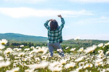 Poster - Girl in a chamomile field