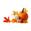 © EmBaSy - Pumpkins and Autumn Leaves