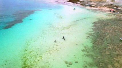 Wall Mural - Nature, beach and aerial of people in ocean for holiday, vacation and tropical destination. Travel, landscape and drone view of friends playing, relax and swimming in sea for adventure or tourism