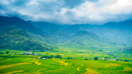 Rice terrace Field Green agriculture rainny season dark cloud amazing landscape. Sustainable Ecosystem rice paddy field Vietnam green nature farm land. Golden green rice terraces tropical landscape