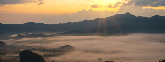 Wall Mural - Banner Beautiful Mountain landscape foggy mountain green landscape morning sunrise. Amazing Landscape mountain green tropical forest tree on sunrise. Banner forest sunlight scenery with copy space