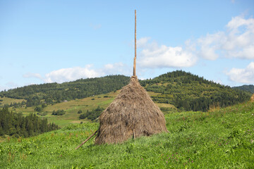 Poster - Pile of hay on field on sunny day