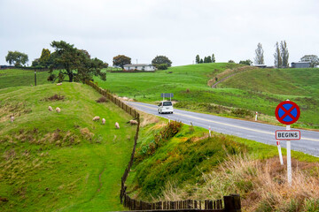 Canvas Print - Buckland Road in Matamata - New Zealand