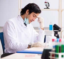 Wall Mural - Young handsome chemist working in the lab