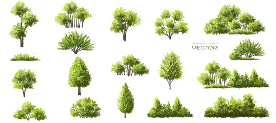Wall Mural - vector watercolor green tree or forest side view isolated on white background for landscape and arch