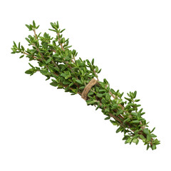 Wall Mural - Freshly harvested bunch of thyme, tied and ready to use.