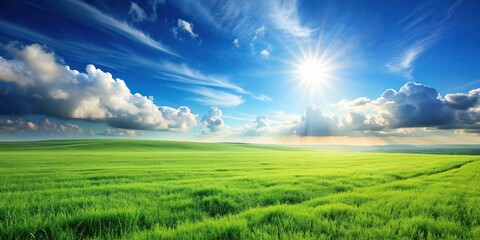 Wall Mural - Lush green grasslands stretching into the horizon under a sunny sky, sunlight,nature, scenic, peaceful, outdoors, beauty, green, serene, sunny, horizon, landscape, view, environment