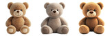 Three cute teddy bears with different fur colors isolated on transparent background