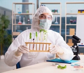 Wall Mural - Male biotechnology scientist chemist working in the lab