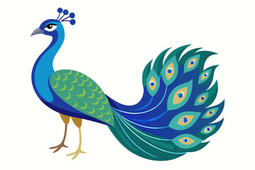 Wall Mural - Peacock vector illustration