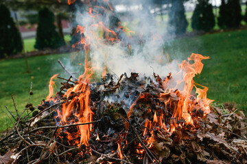 bonfire in the yard