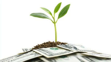 Poster - A young green plant sprouting from a pile of dollar bills, showing the potential for financial growth