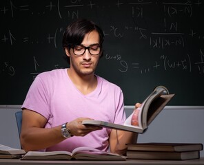 Wall Mural - Young male student sitting in classroom